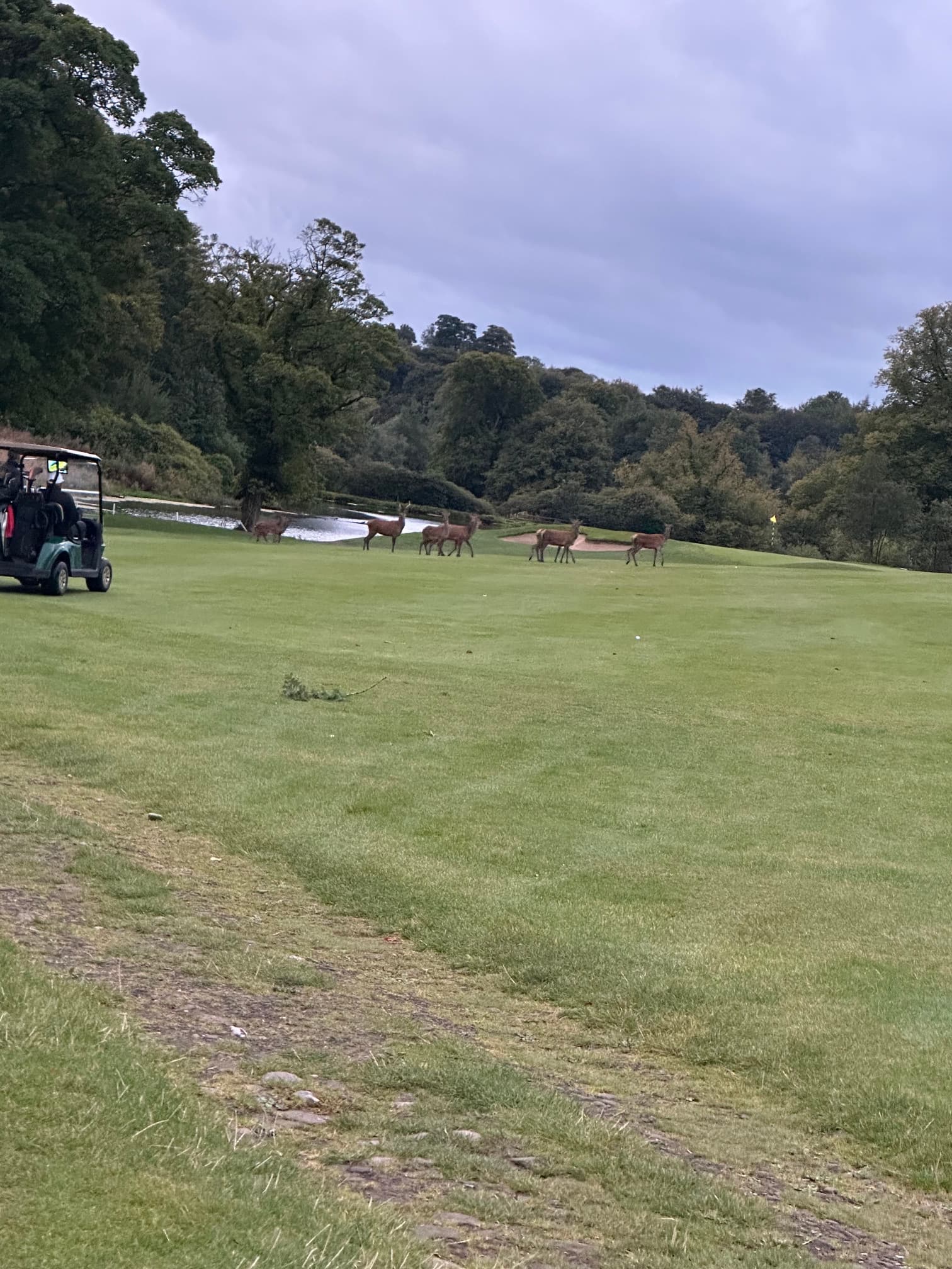 Shrigley Hall golf weekend photo 1